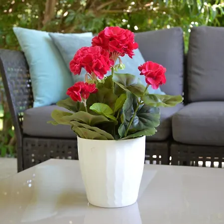 Italia Living Casa vacanze